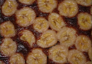 vegecarib132