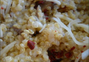 vegecarib39
