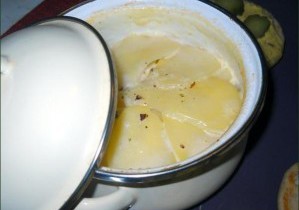 vegecarib869