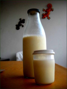 Passoire à yaourt, séparateur de lactosérum, réutilisable, fait maison,  vieux filtre pour lait de soja, jus